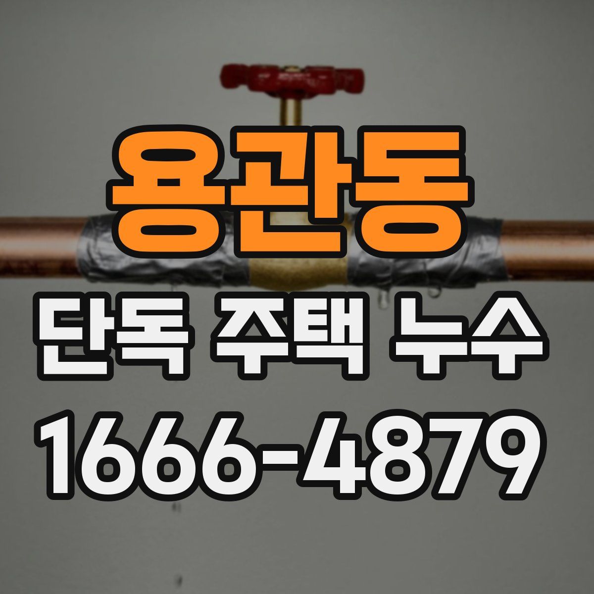 용관동 단독 주택 누수