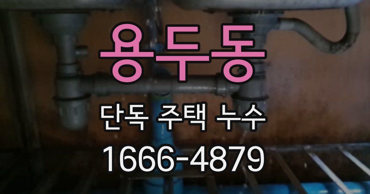 용두동 단독 주택 누수