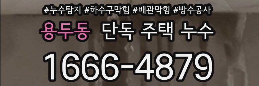 용두동 단독 주택 누수