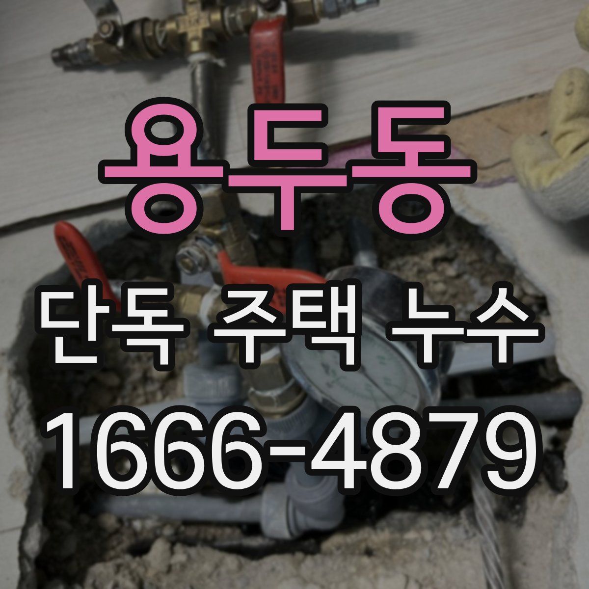 용두동 단독 주택 누수