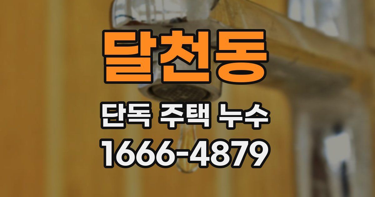 달천동 단독 주택 누수