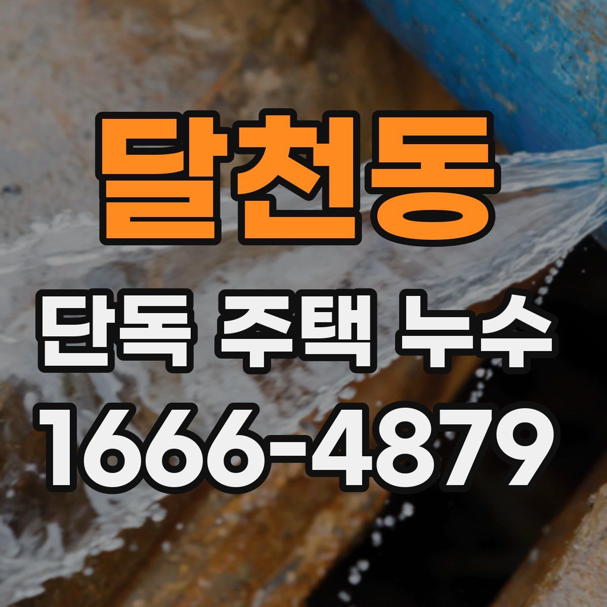 달천동 단독 주택 누수