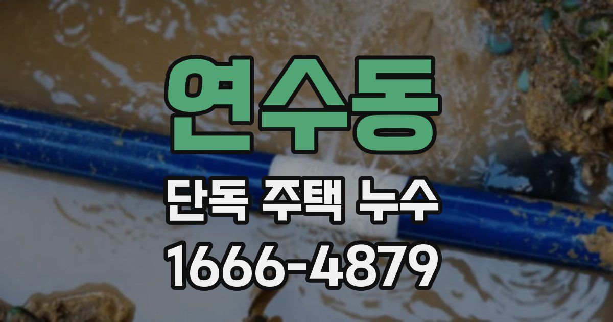 연수동 단독 주택 누수