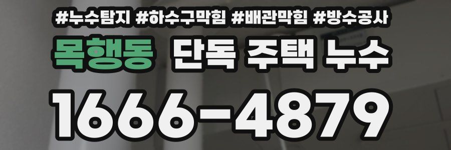 목행동 단독 주택 누수