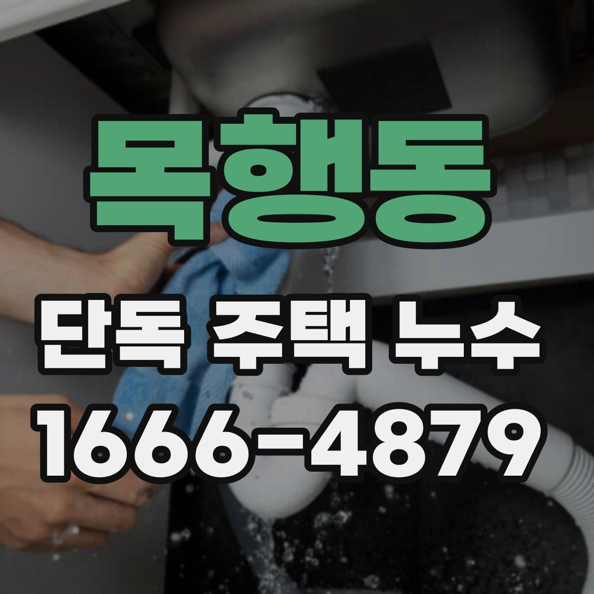 목행동 단독 주택 누수