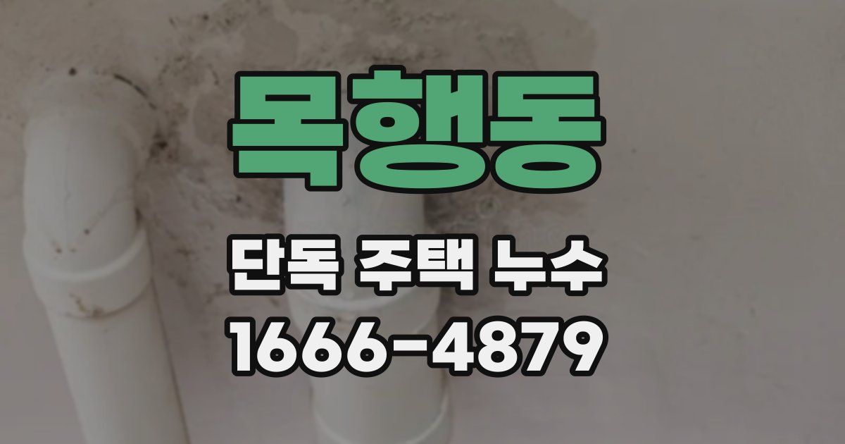 목행동 단독 주택 누수
