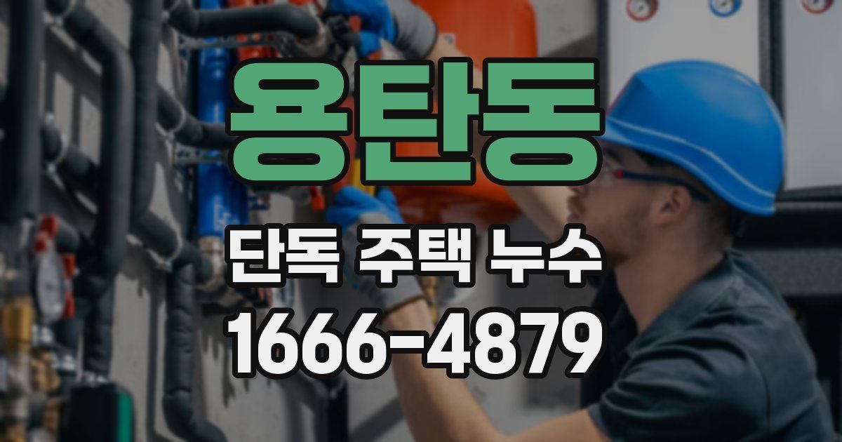 용탄동 단독 주택 누수