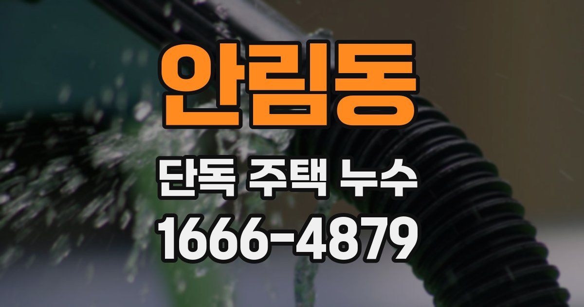 안림동 단독 주택 누수