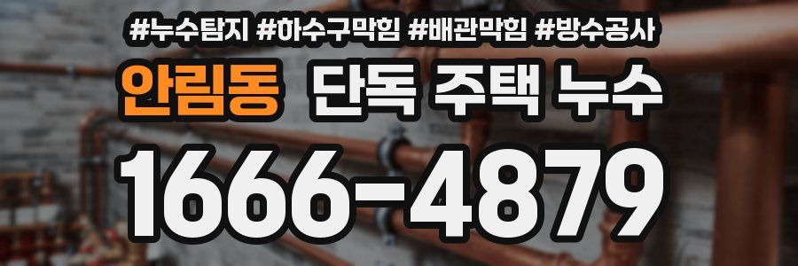 안림동 단독 주택 누수