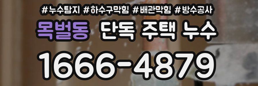 목벌동 단독 주택 누수