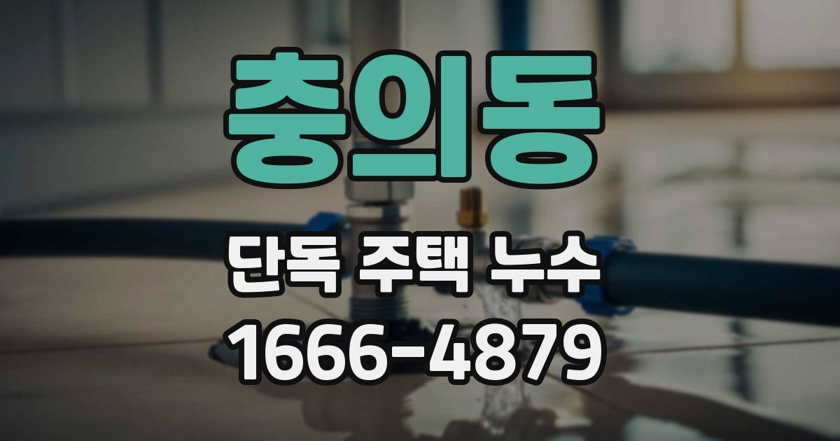 충의동 단독 주택 누수