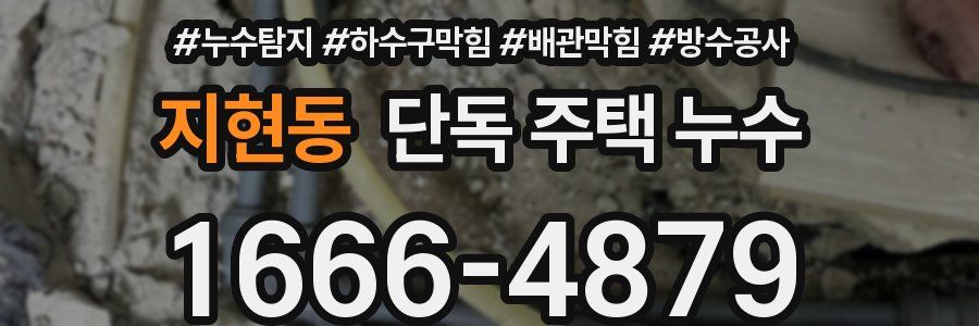 지현동 단독 주택 누수