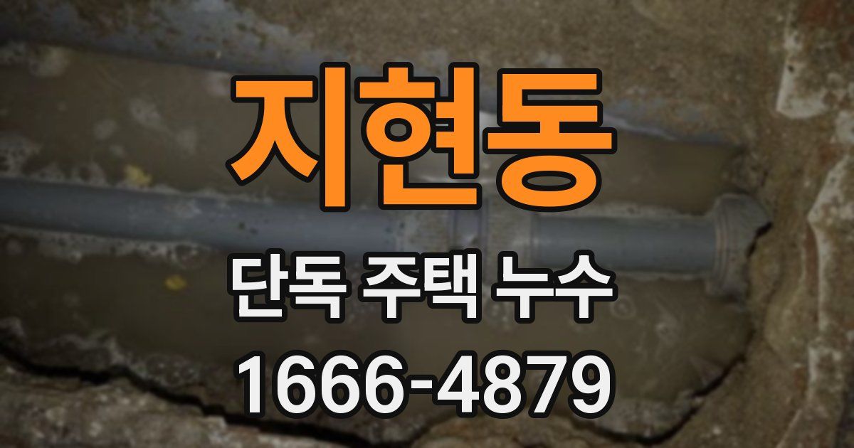 지현동 단독 주택 누수