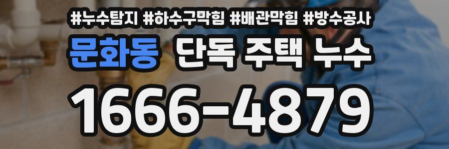 문화동 단독 주택 누수
