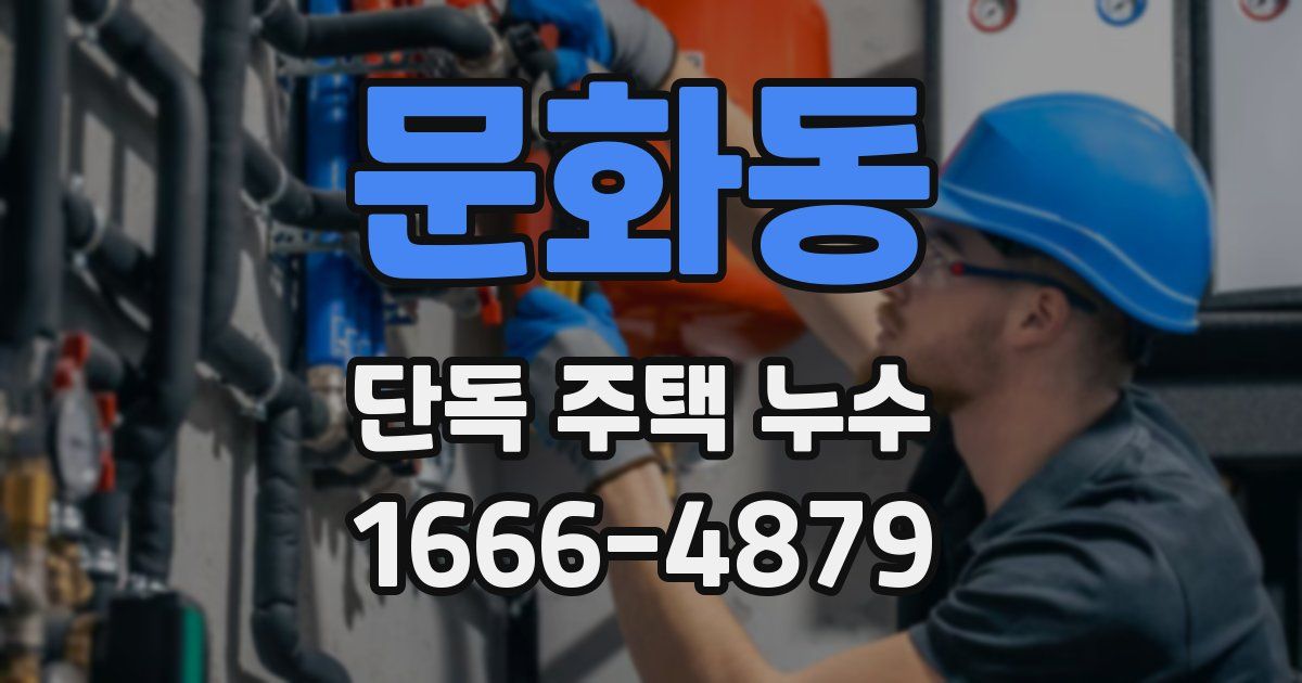 문화동 단독 주택 누수