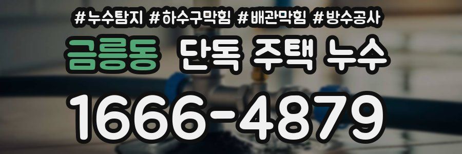 금릉동 단독 주택 누수