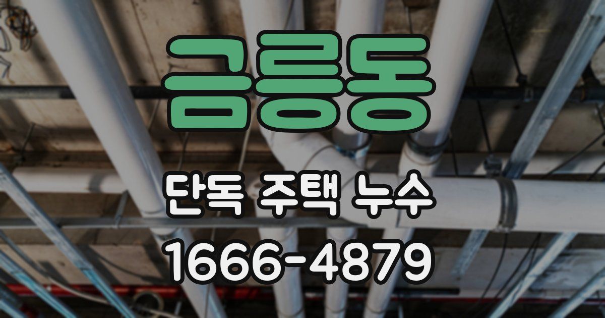 금릉동 단독 주택 누수