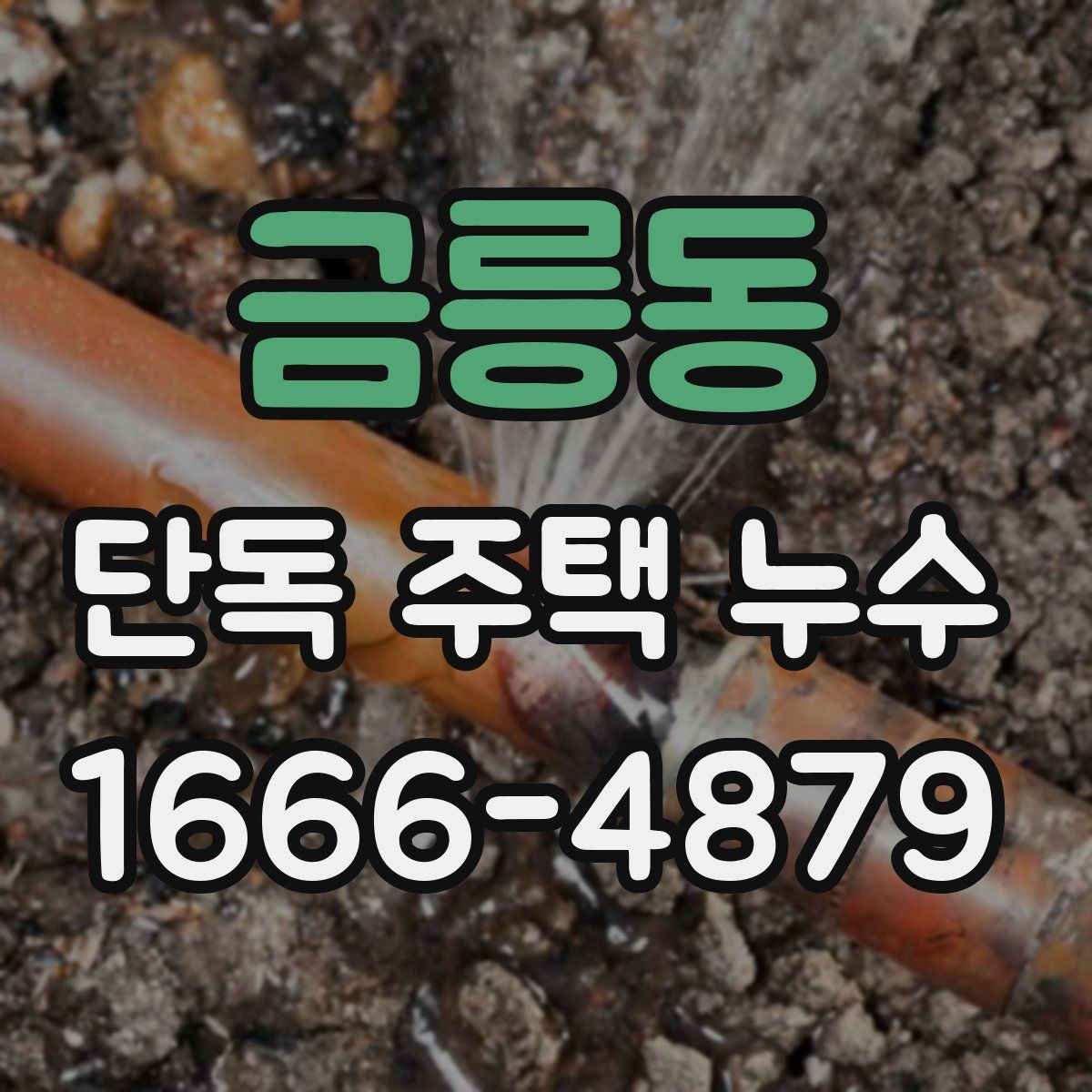 금릉동 단독 주택 누수
