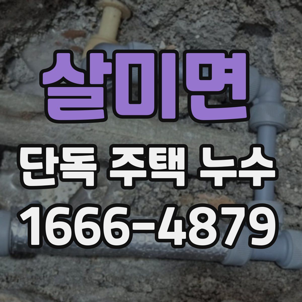 살미면 단독 주택 누수