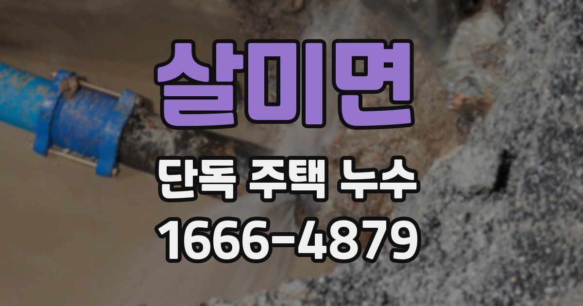 살미면 단독 주택 누수