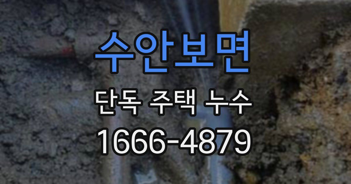 수안보면 단독 주택 누수
