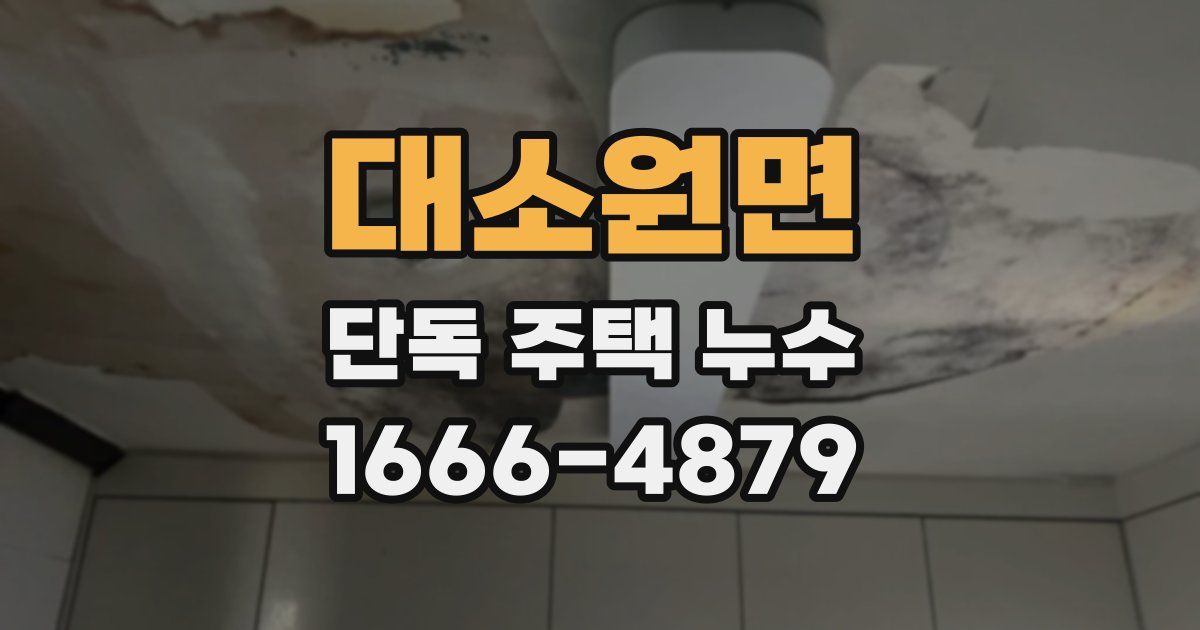 대소원면 단독 주택 누수