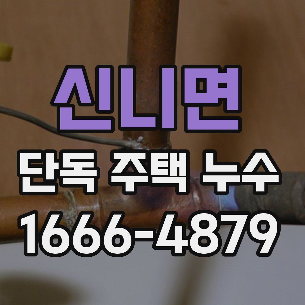 신니면 단독 주택 누수