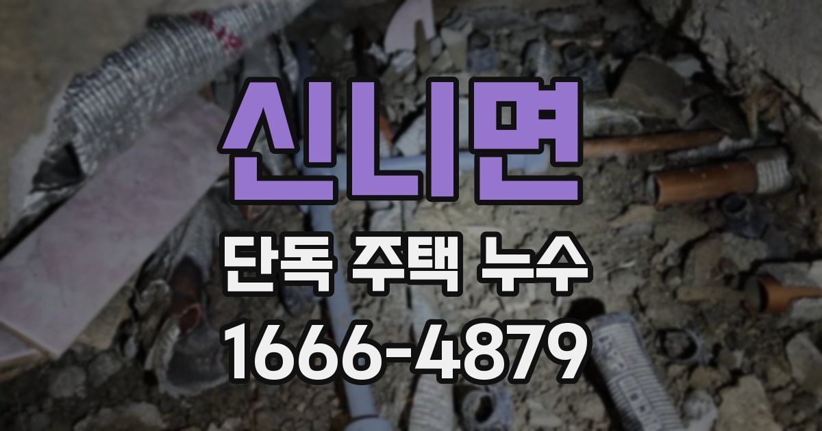 신니면 단독 주택 누수