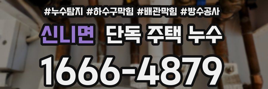 신니면 단독 주택 누수