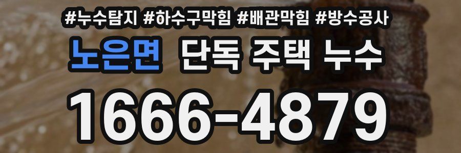 노은면 단독 주택 누수