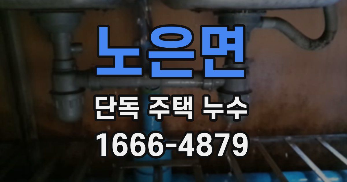 노은면 단독 주택 누수