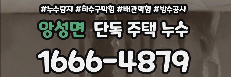 앙성면 단독 주택 누수