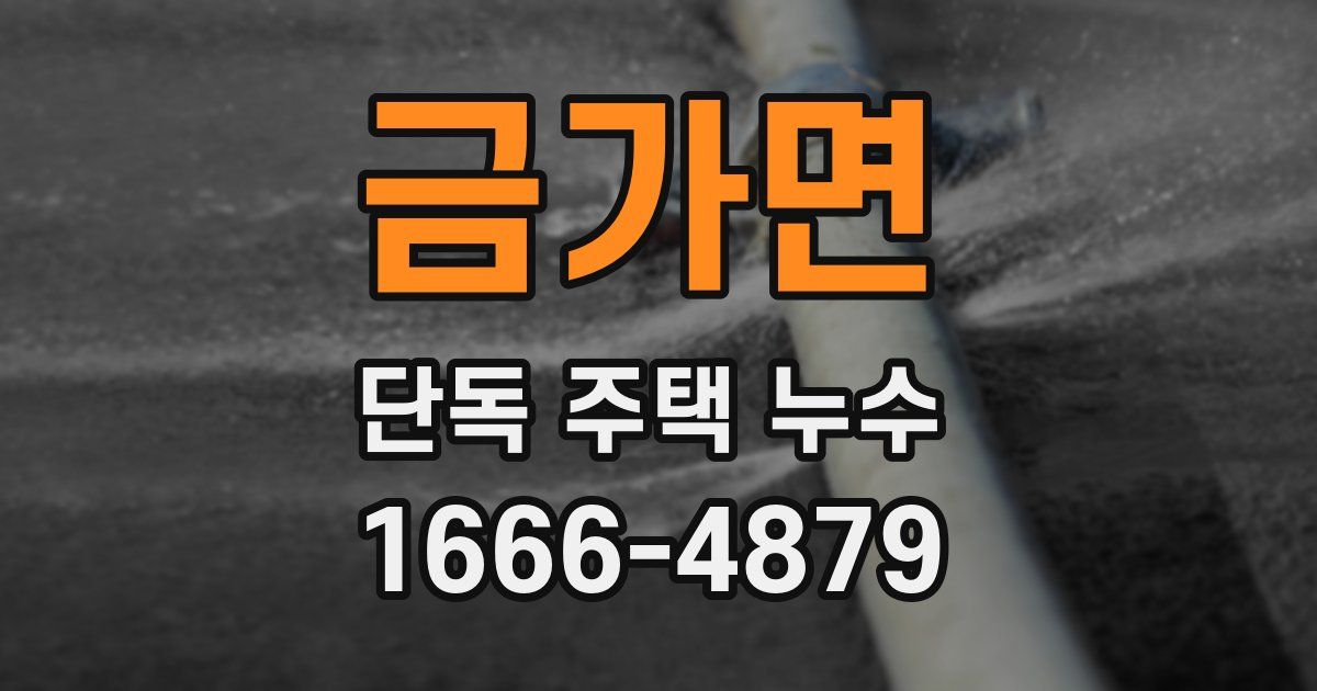 금가면 단독 주택 누수