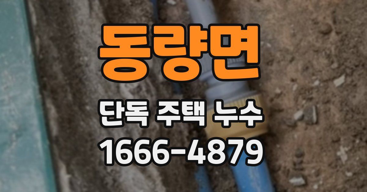 동량면 단독 주택 누수