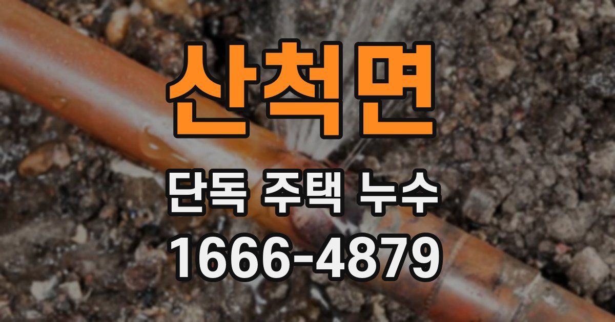 산척면 단독 주택 누수