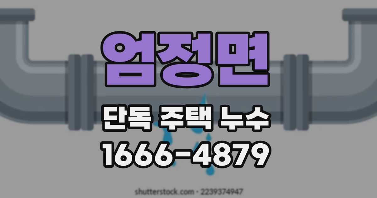 엄정면 단독 주택 누수