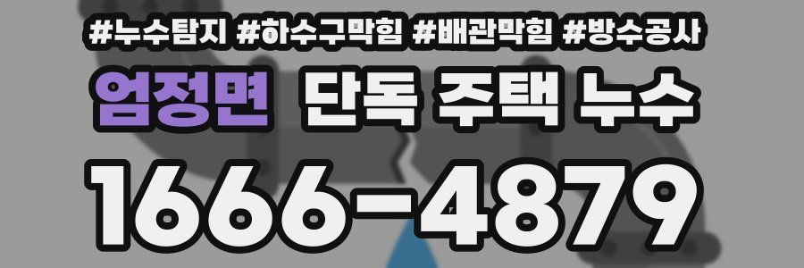 엄정면 단독 주택 누수