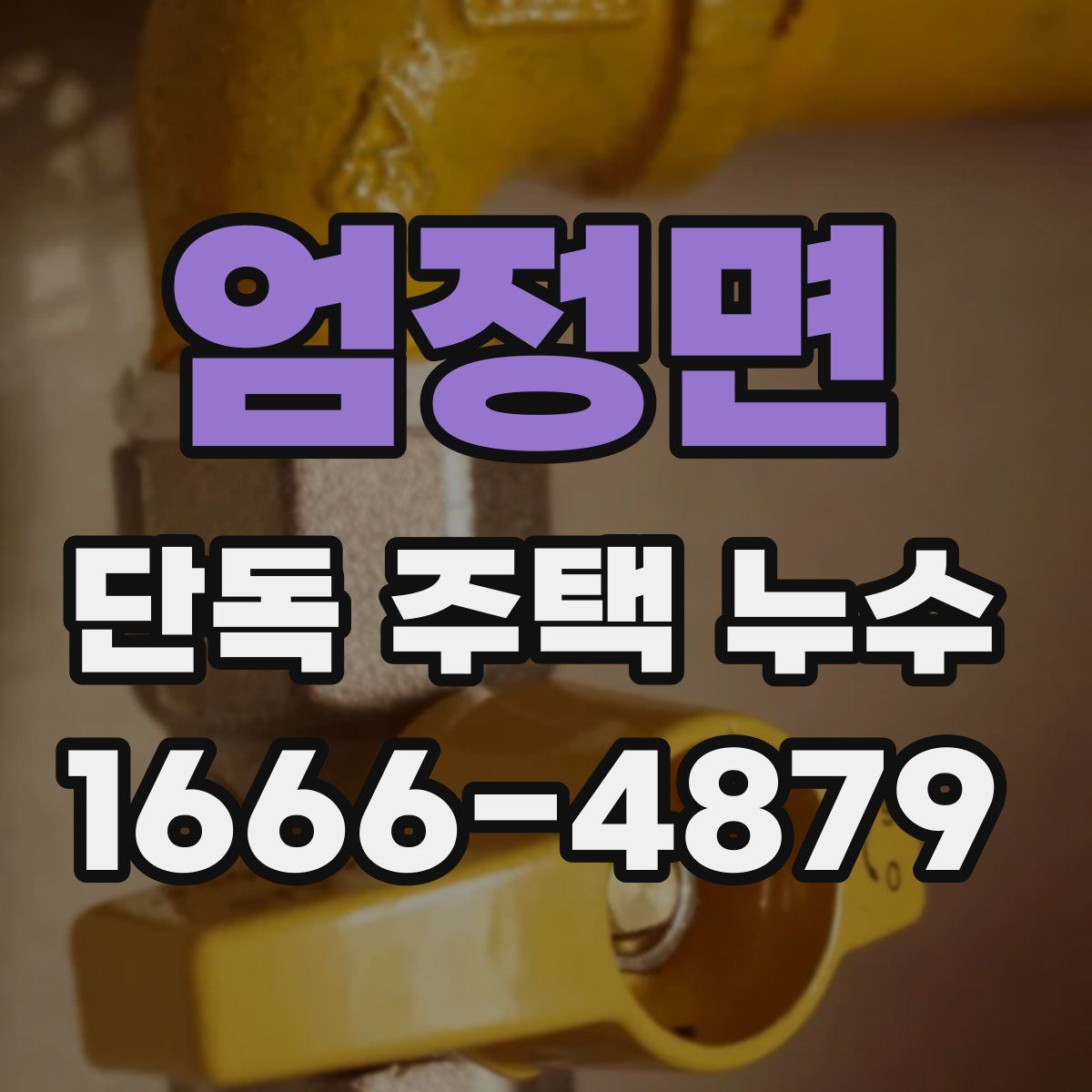 엄정면 단독 주택 누수