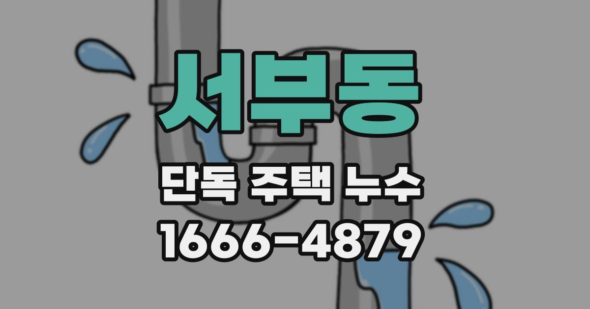 서부동 단독 주택 누수