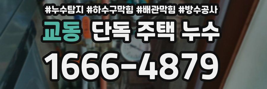 교동 단독 주택 누수