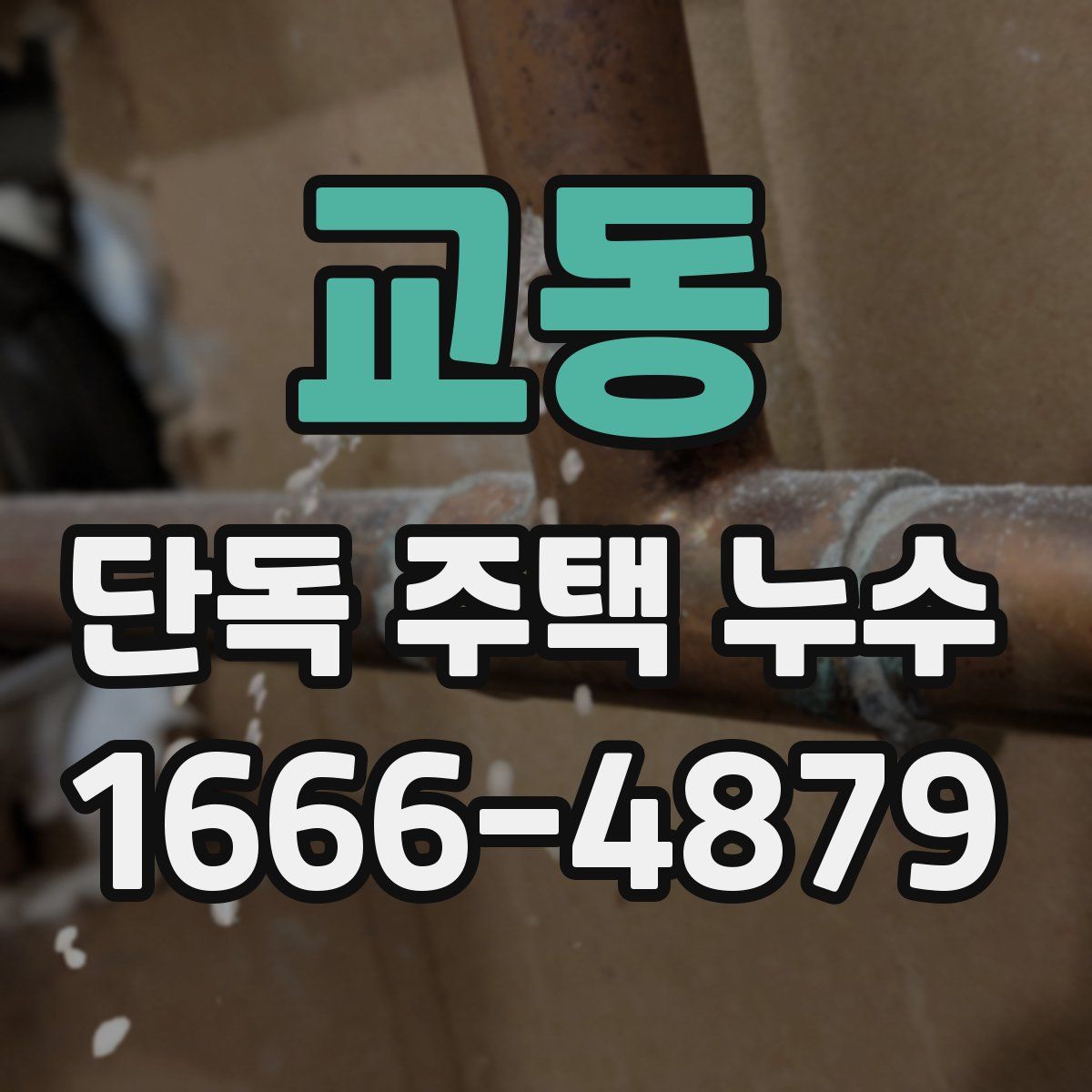 교동 단독 주택 누수