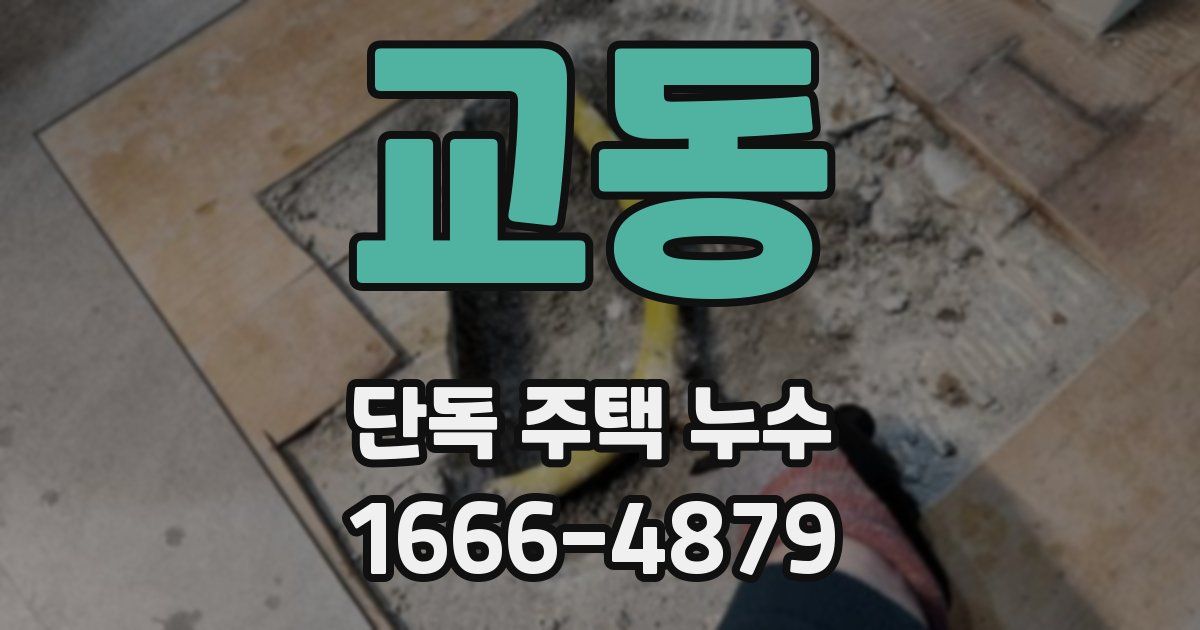 교동 단독 주택 누수