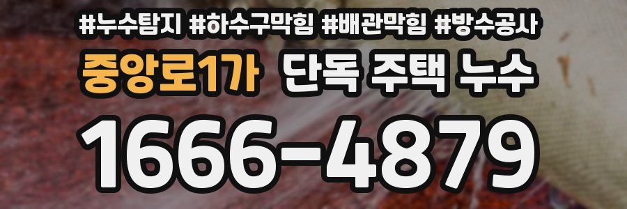 중앙로1가 단독 주택 누수
