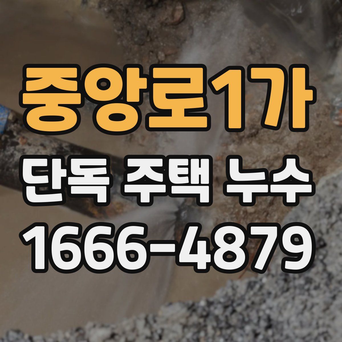 중앙로1가 단독 주택 누수