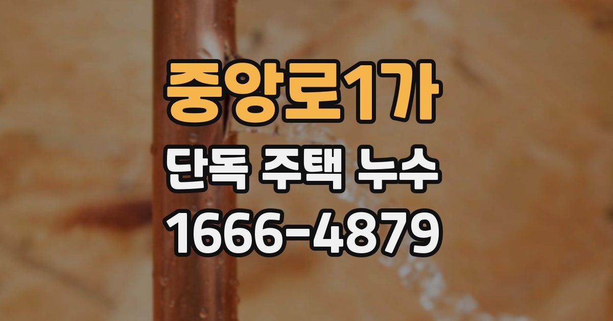 중앙로1가 단독 주택 누수