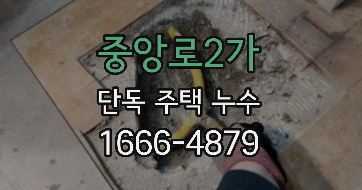 중앙로2가 단독 주택 누수