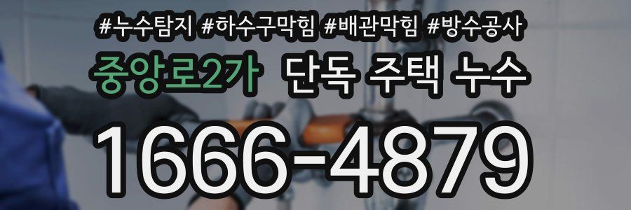 중앙로2가 단독 주택 누수