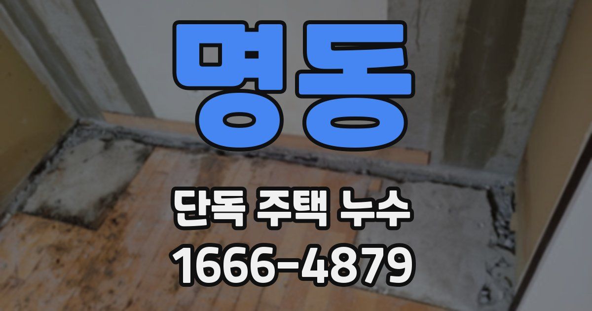 명동 단독 주택 누수