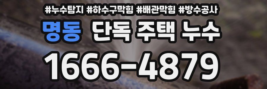 명동 단독 주택 누수