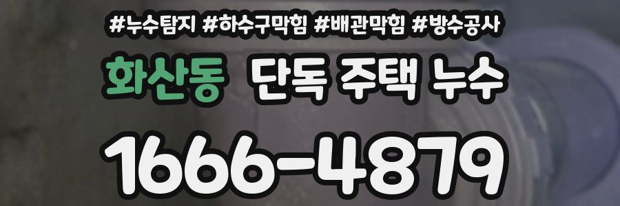 화산동 단독 주택 누수